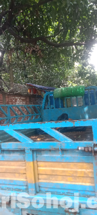 পিকাব